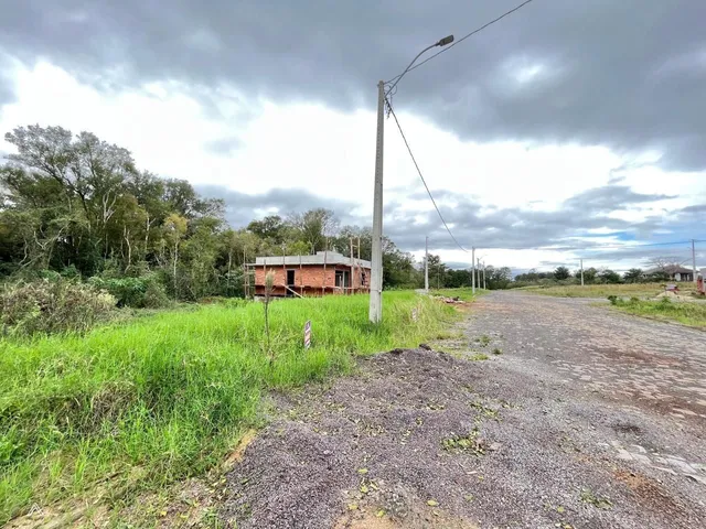 Terreno, foto 3