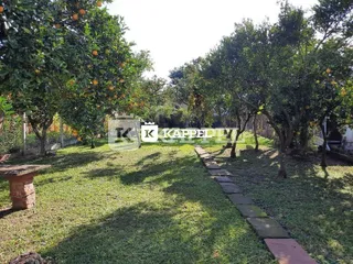 Vista externa de um jardim com grama e árvores em Lajeado.