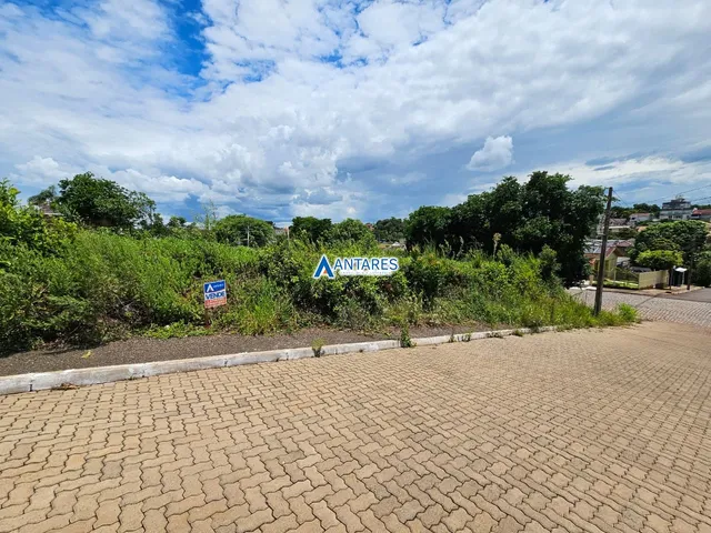 Terreno, foto 2