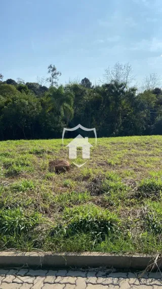 Terreno, foto 3