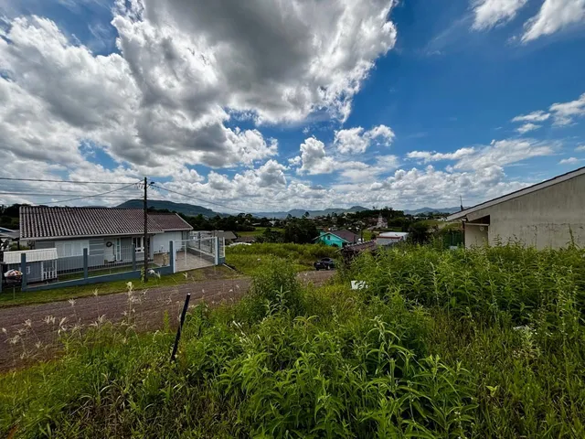 Terreno, foto 2