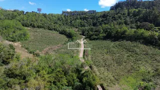 Área rural com 3 dormitórios, foto 2