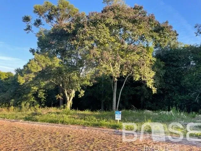 Terreno, foto 2
