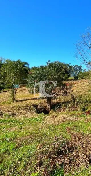 Terreno, foto 4