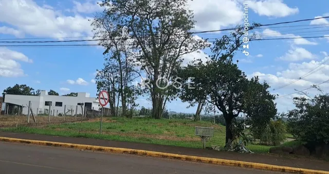 Terreno, foto 4