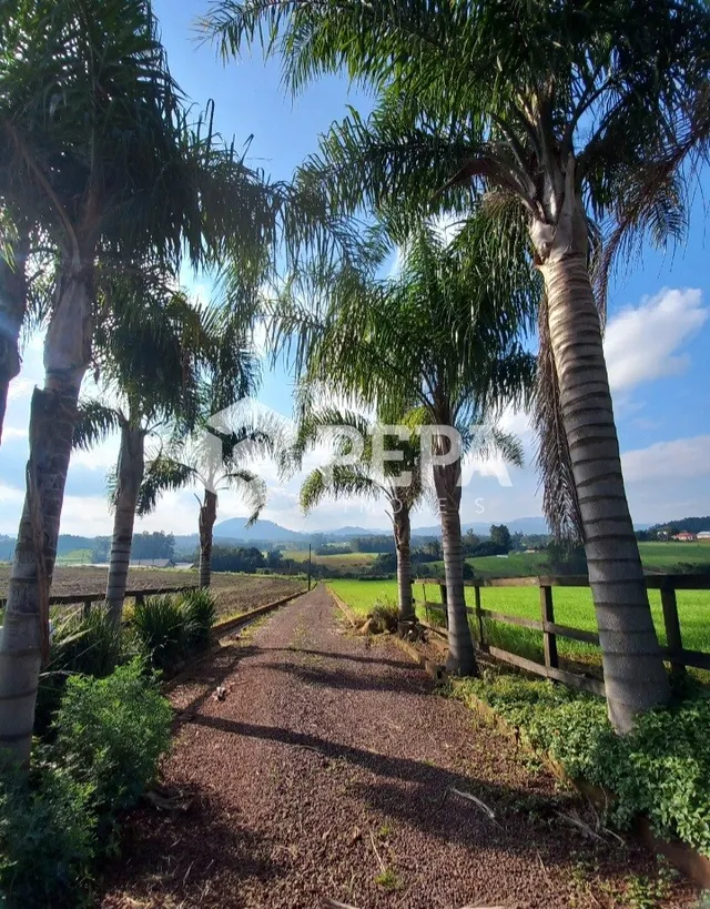 Área rural
