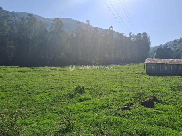Área rural, foto 4