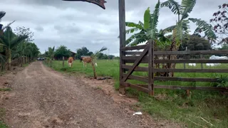 Área rural com 1 dormitório, foto 8