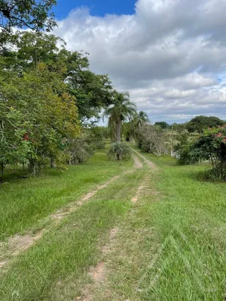 Área rural com 3 dormitórios, foto 5