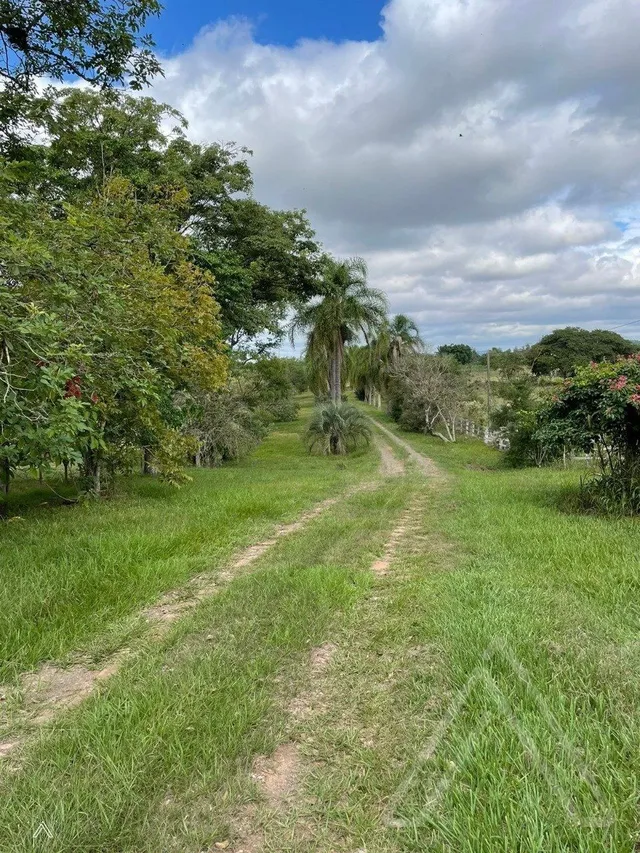 Área rural com 3 dormitórios, foto 5