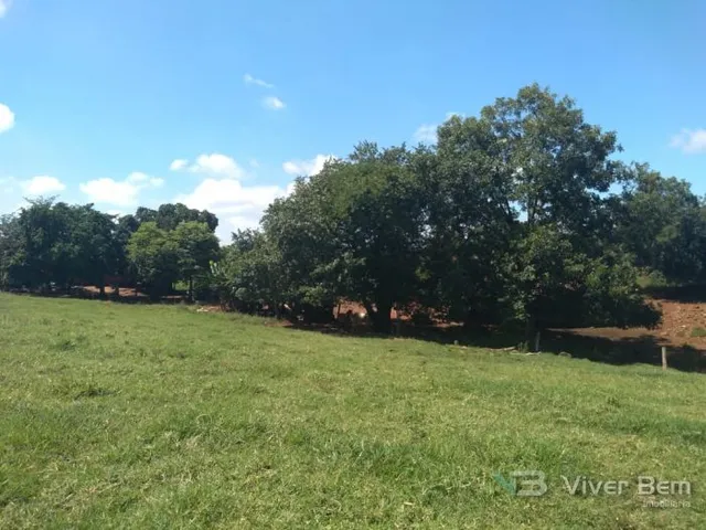 Área rural com 4 dormitórios, foto 3