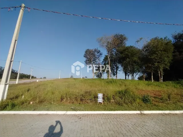 Terreno, foto 2