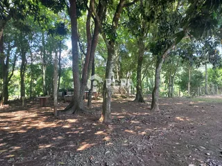 Área rural com 2 dormitórios, foto 24