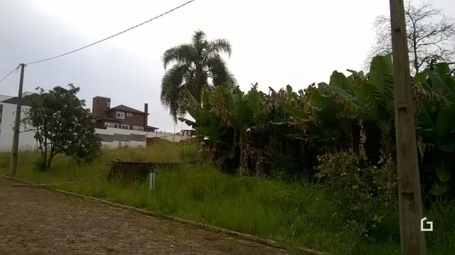 Terreno, foto 3