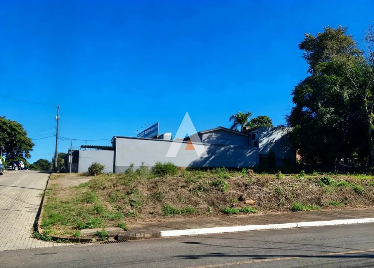 Terreno, foto 1