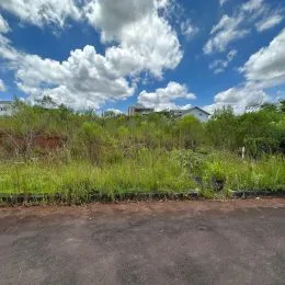 Foto da vegetação e do céu em uma área externa.
