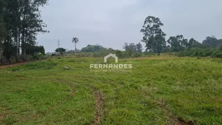 Terreno, foto 2