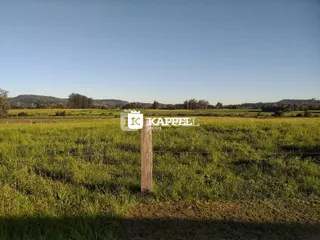 Paisagem de campo aberto com vegetação verde sob um céu azul.