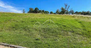 Vista de uma área gramada com vegetação ao fundo.