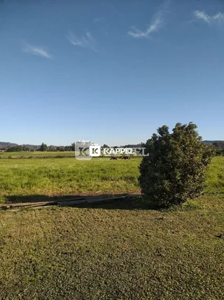 Vista de um campo aberto com vegetação sob um céu azul claro.