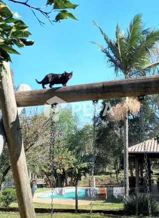 Área rural com 3 dormitórios, foto 19