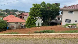 Terreno, foto 3