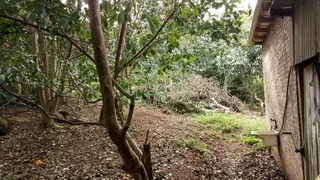 Área rural com 2 dormitórios, foto 6