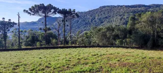 Vista panorâmica de uma paisagem com vegetação e colinas no fundo.