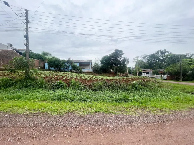 Terreno, foto 2