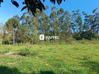 Terreno, foto 3