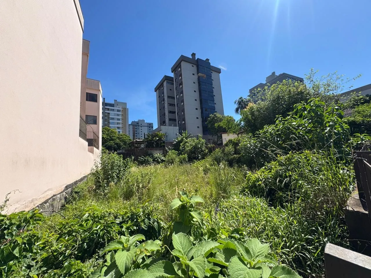 Terreno, foto 1