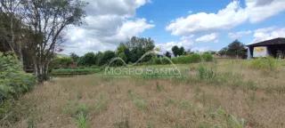 Campo de grama seco com árvores ao fundo.