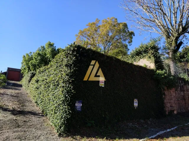 Terreno, foto 2