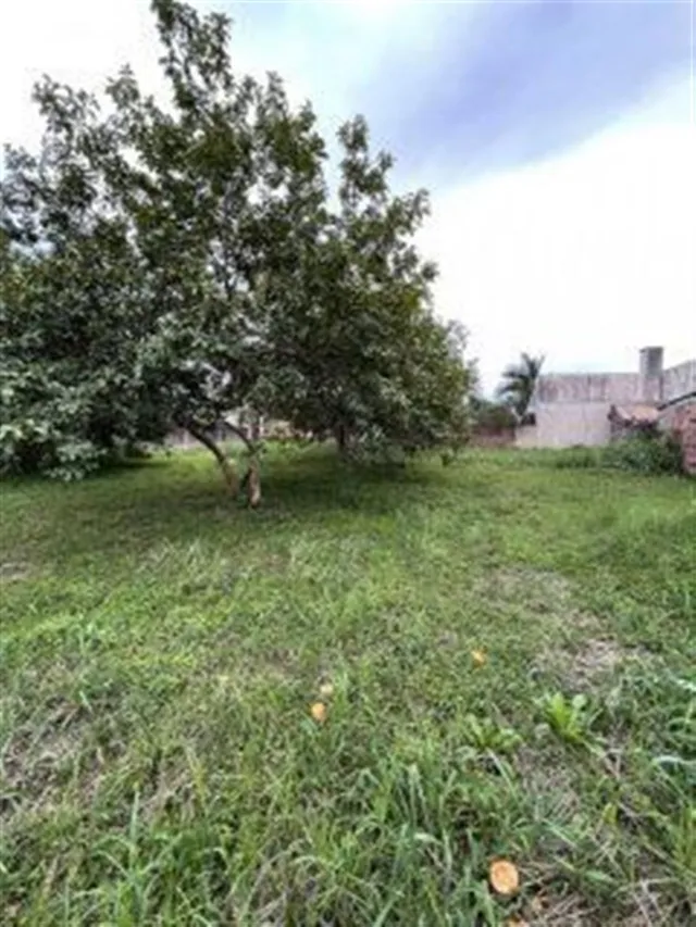 Terreno, foto 5