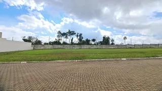 Terreno, foto 1