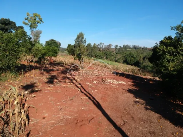 Vista de um terreno aberto com vegetação seca sob um céu azul.