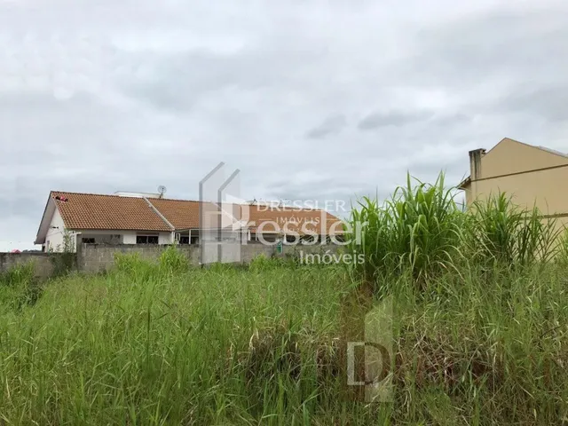 Vista externa de uma propriedade com vegetação alta no primeiro plano.