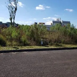 Terreno, foto 3