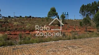 Terreno, foto 3