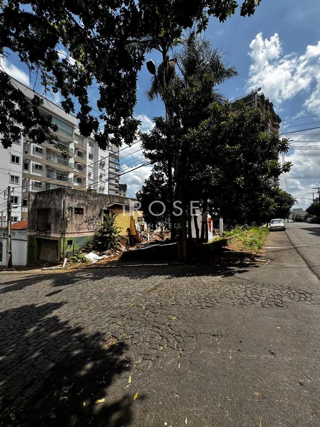 Vista externa de uma rua com vegetação e um edifício no Brasil.