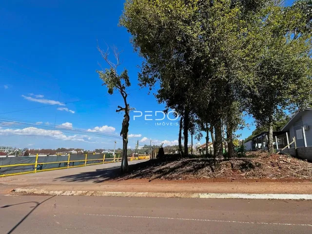 Vista da propriedade com árvores e estrada no exterior.