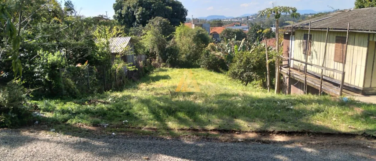 Terreno, foto 1