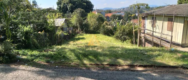 Terreno