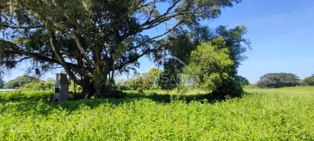 Área rural