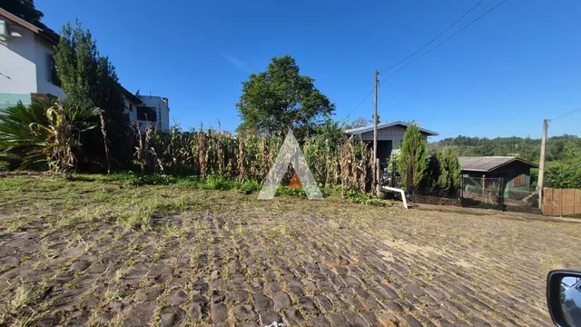 Terreno, foto 2