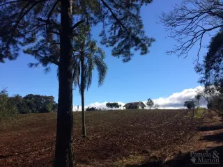 Área rural com 2 dormitórios, foto 12