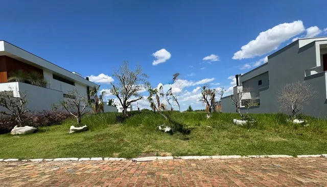 Terreno