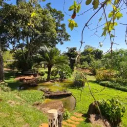 Paisagem externa com vegetação exuberante e um pequeno riacho em uma propriedade.