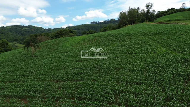 Área rural, foto 3