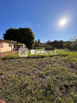 Foto externa de um terreno gramado com vegetação ao fundo sob um céu azul claro.